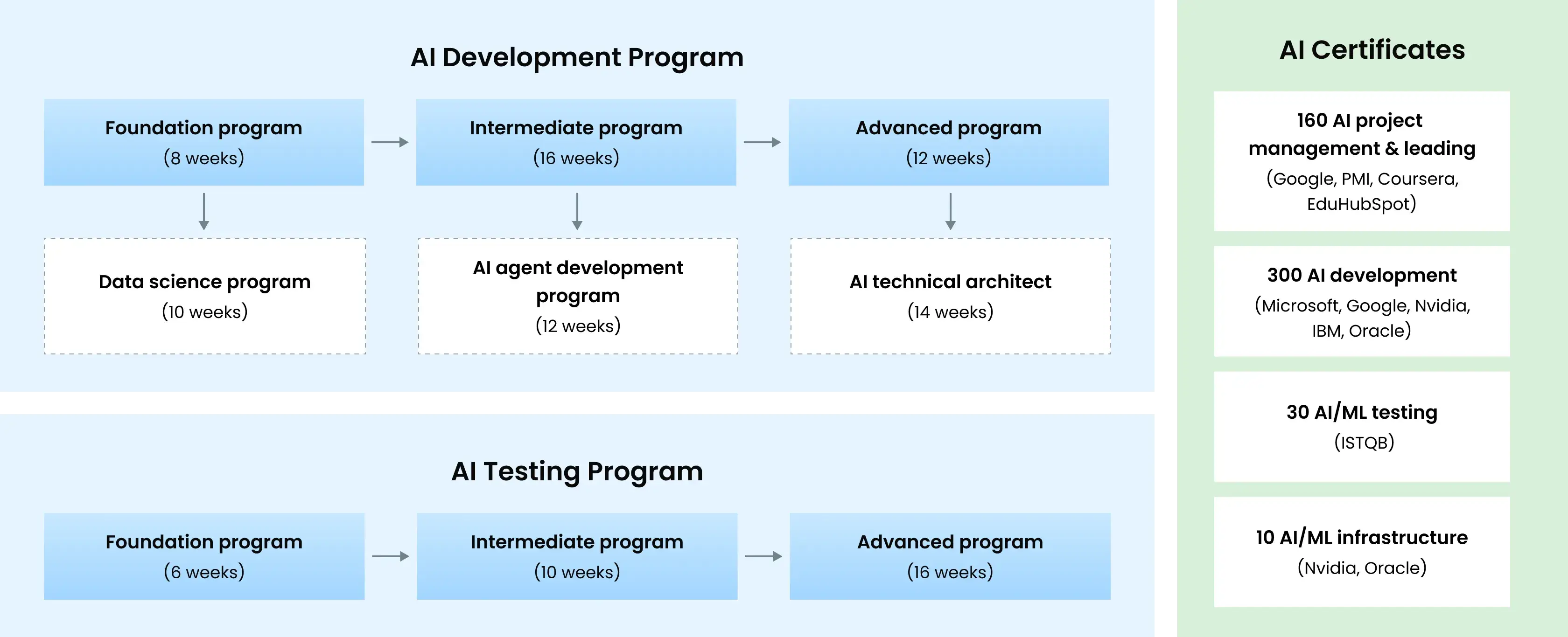 AI Training & Development
